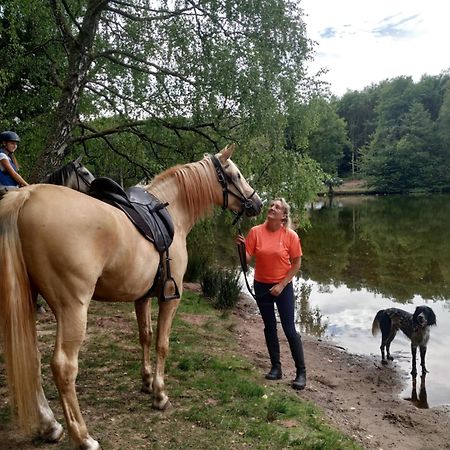 L'Echappee Verte - Gite Equestre 5 Pers Soucht Экстерьер фото