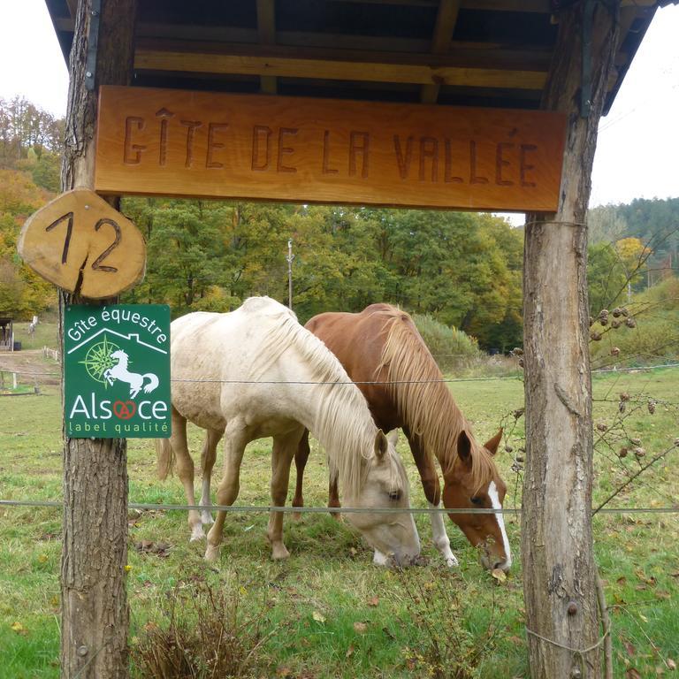 Вилла Gite De La Vallee Soucht Экстерьер фото